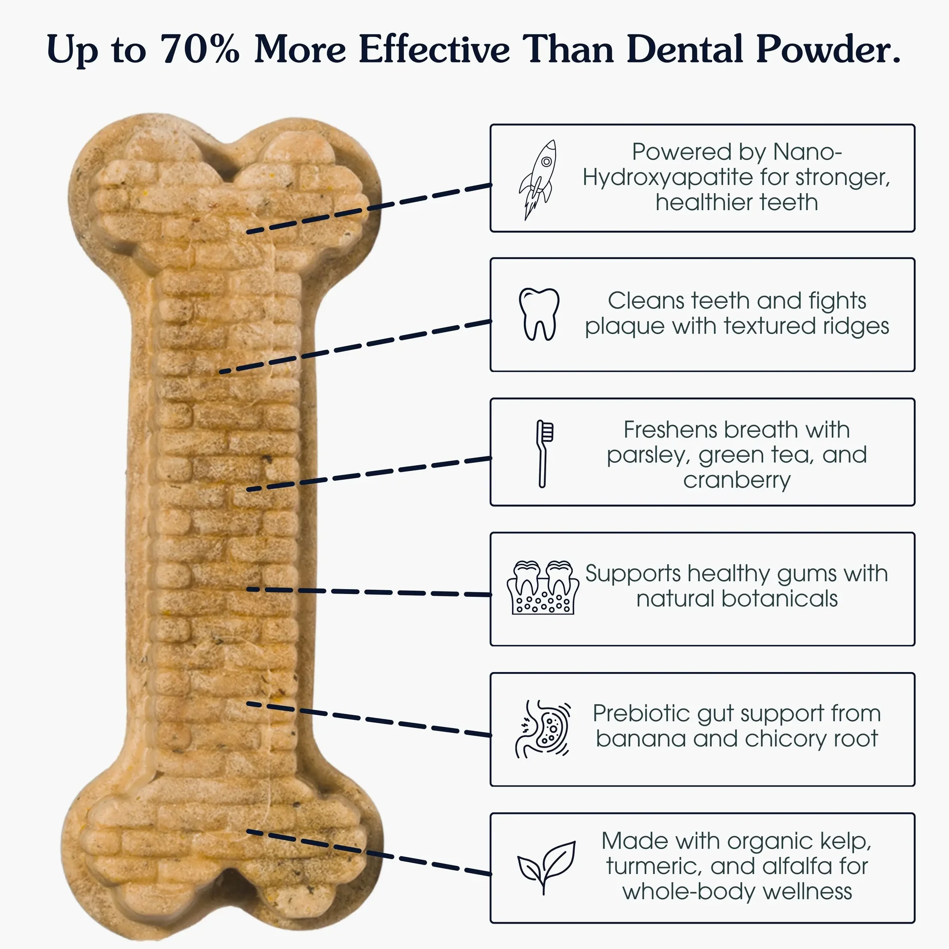 Arterra Dental Protocol